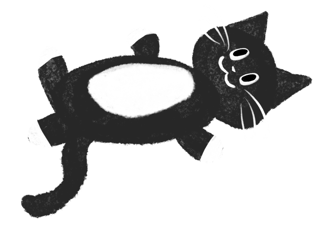 Katzenernährungsberatung bei Voll Verplüscht